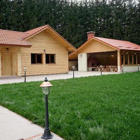 Pensiunea Floarea De Colt Nucsoara  ภายนอก รูปภาพ